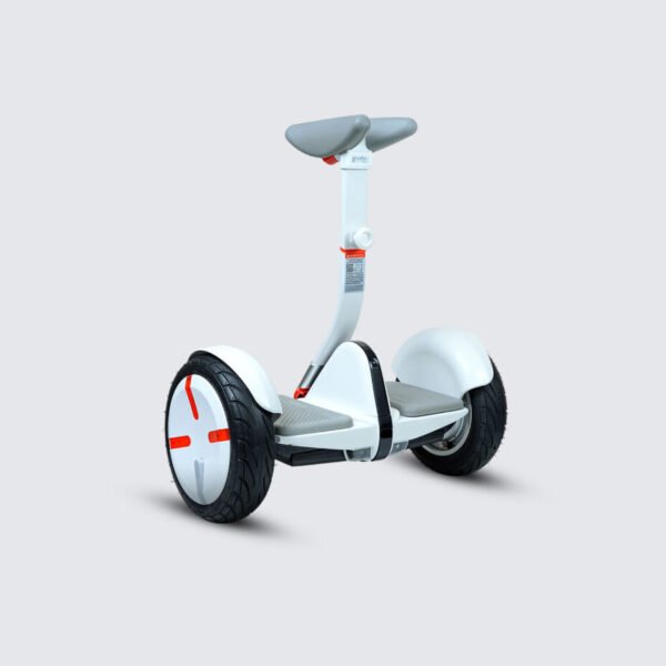 Segway Ninebot S Pro